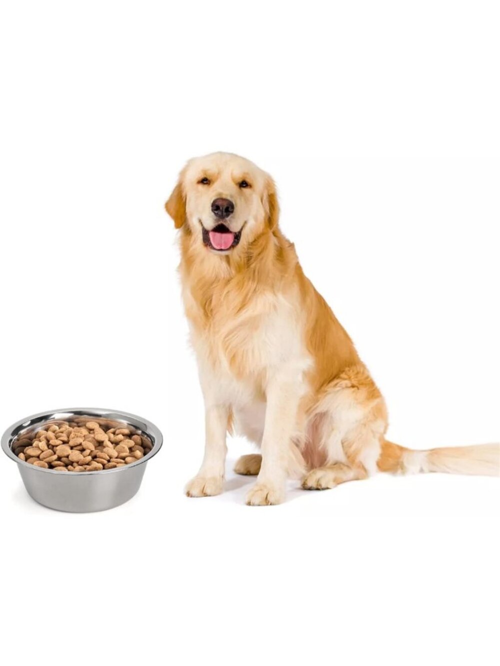 4-Pack Stainless Steel Pet Bowls for Dogs & Cats, 8.26" Food & Water Dishes - Picture 6 of 8